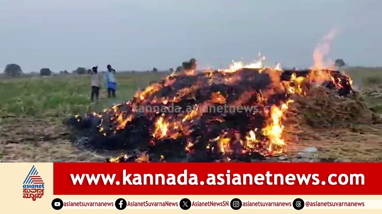 100 ಚೀಲ ಜೋಳದ ರಾಶಿಗೆ ಬೆಂಕಿ ಹಚ್ಚಿದ ಕಿಡಿಗೇಡಿಗಳು; ರೈತ ಕಣ್ಣೀರು | Raichur | Jowar Crop Fire | Suvarna News
