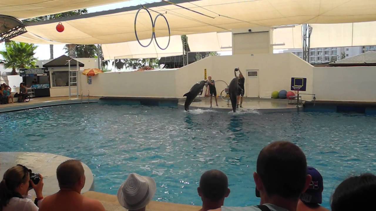 Antalya,Dolphinland