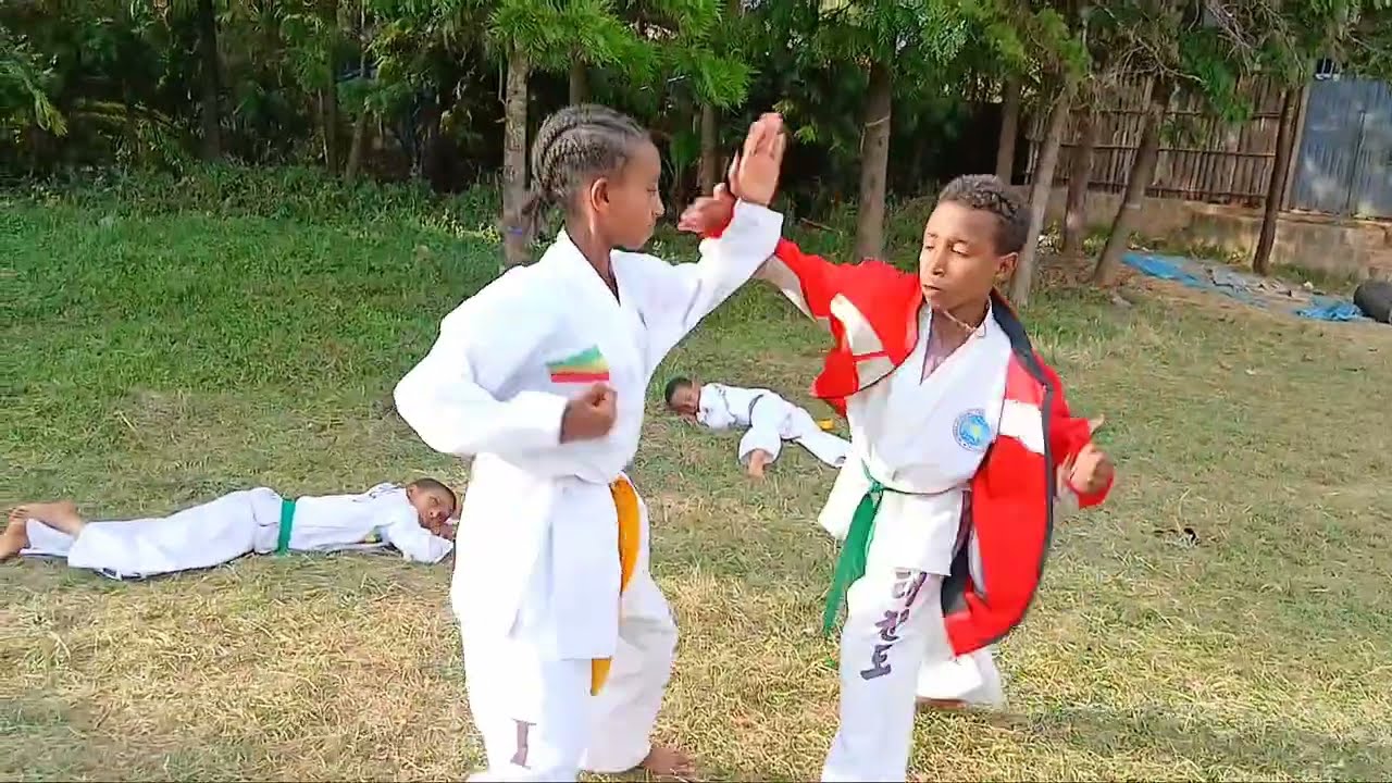 ማፍያወቹ short action tkd video/bk itf tkd