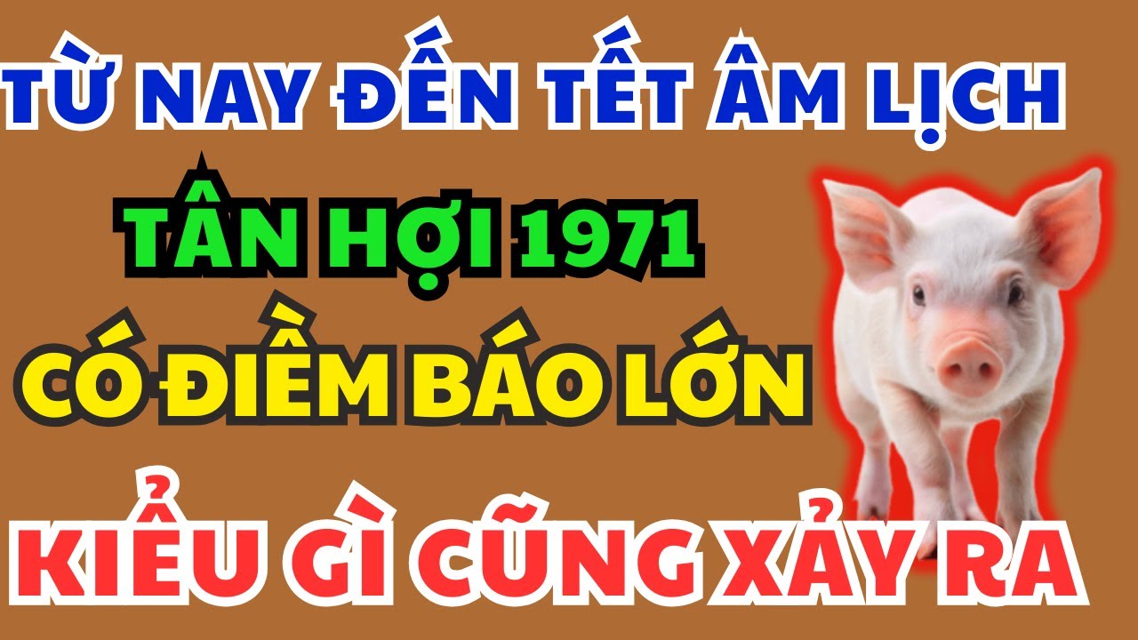 Tân Hợi 1971 Chú ý Điềm Báo Định Mệnh sắp xảy ra biết 9 bí mật này Kiểu gì cũng Giàu, Ăn tết To