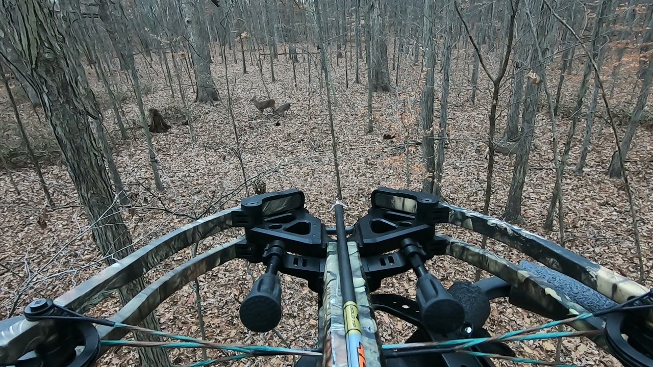 Crazy deer hunting action Ohio