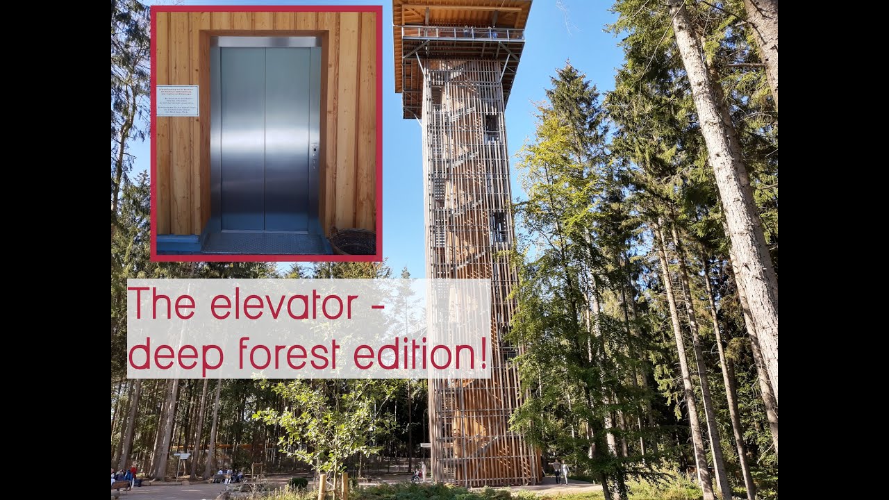 Underwhelming! 2019 Lutz elevator at Heide Himmel canopy walkway in Hanstedt, Germany