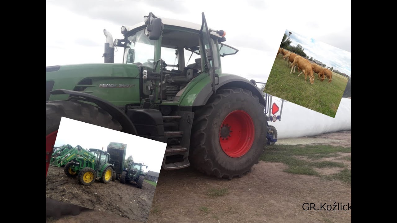 Kukurydza na kiszonkę w rękaw GR.Koźlicki 2019