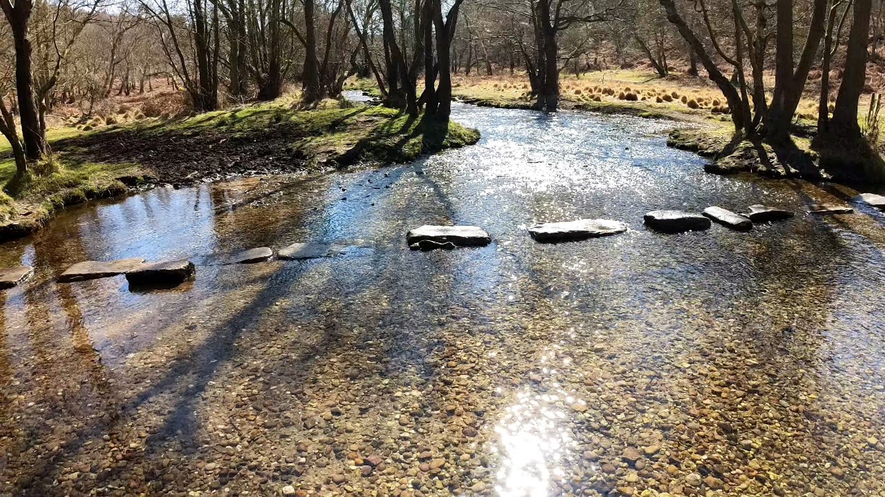Wood-E .. Homemade Mobility Scooter - Smoooooth trail -