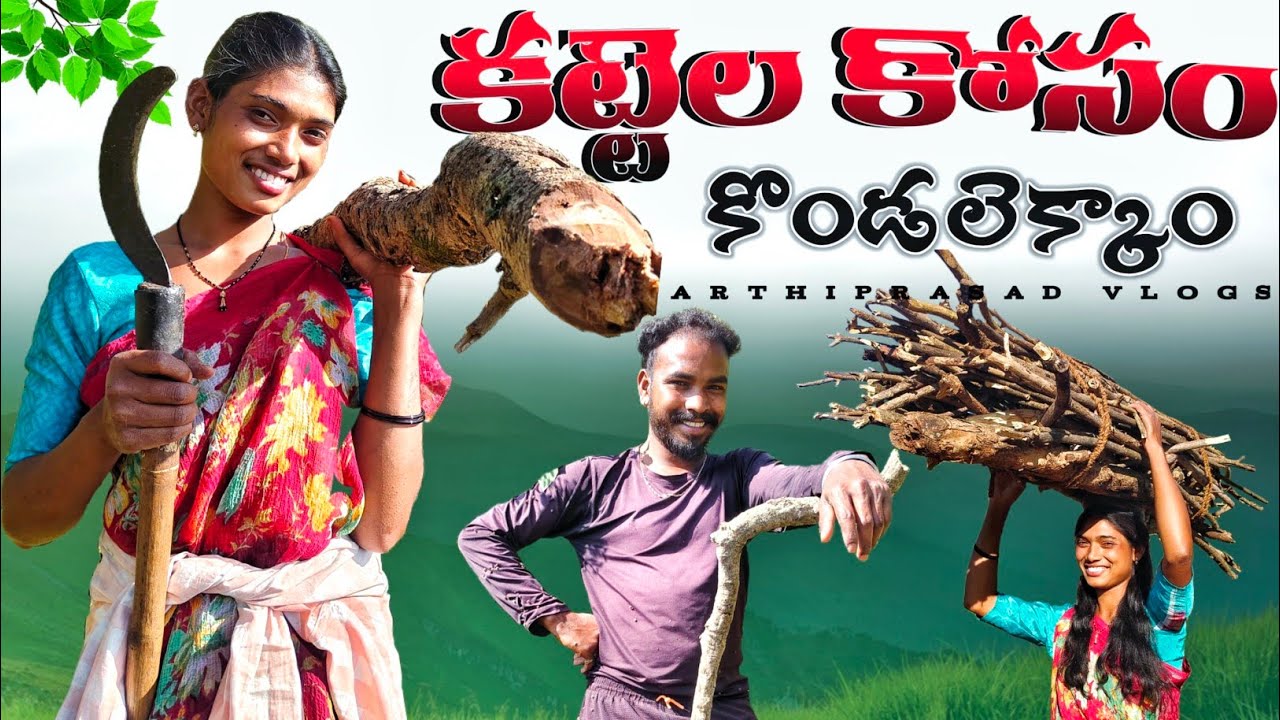  ఎండిన కట్టెలు కోసం మా కష్టలు 🥺 || Struggle for Firewood in the Hills