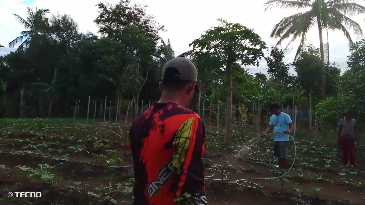 tulong tulong sa pag gawa ,kailangan magdilig maigi dahil summer na 