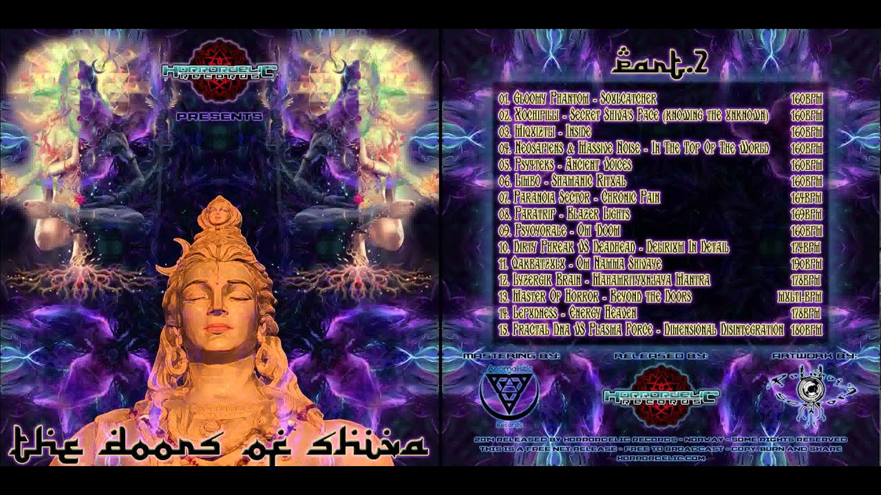 07. Paranoia Sector: Chronic Pain  - VA - Doors of Shiva - Psychedelic