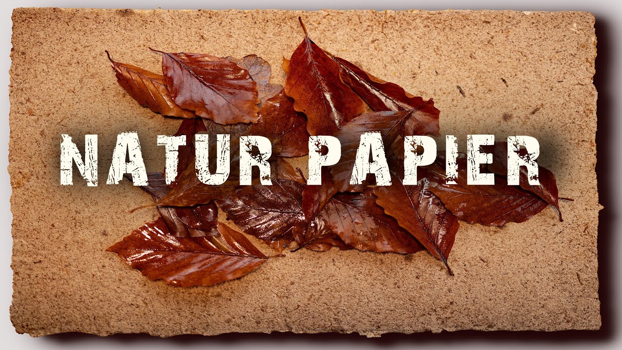 Wunderschönes Natur Papier selber machen aus wilden Blätter Laub