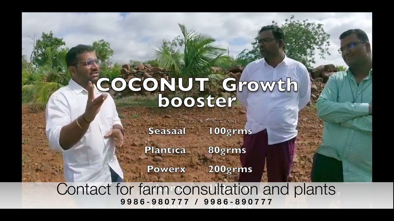 COCONUT FARM BY DARVI GROUP
