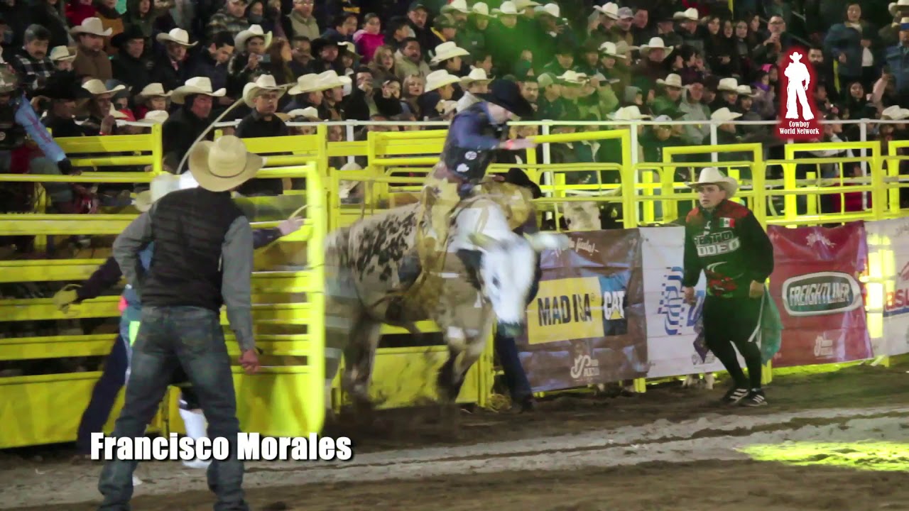 Rodeo Saltillo Expo & Fest - Super Bull 2019