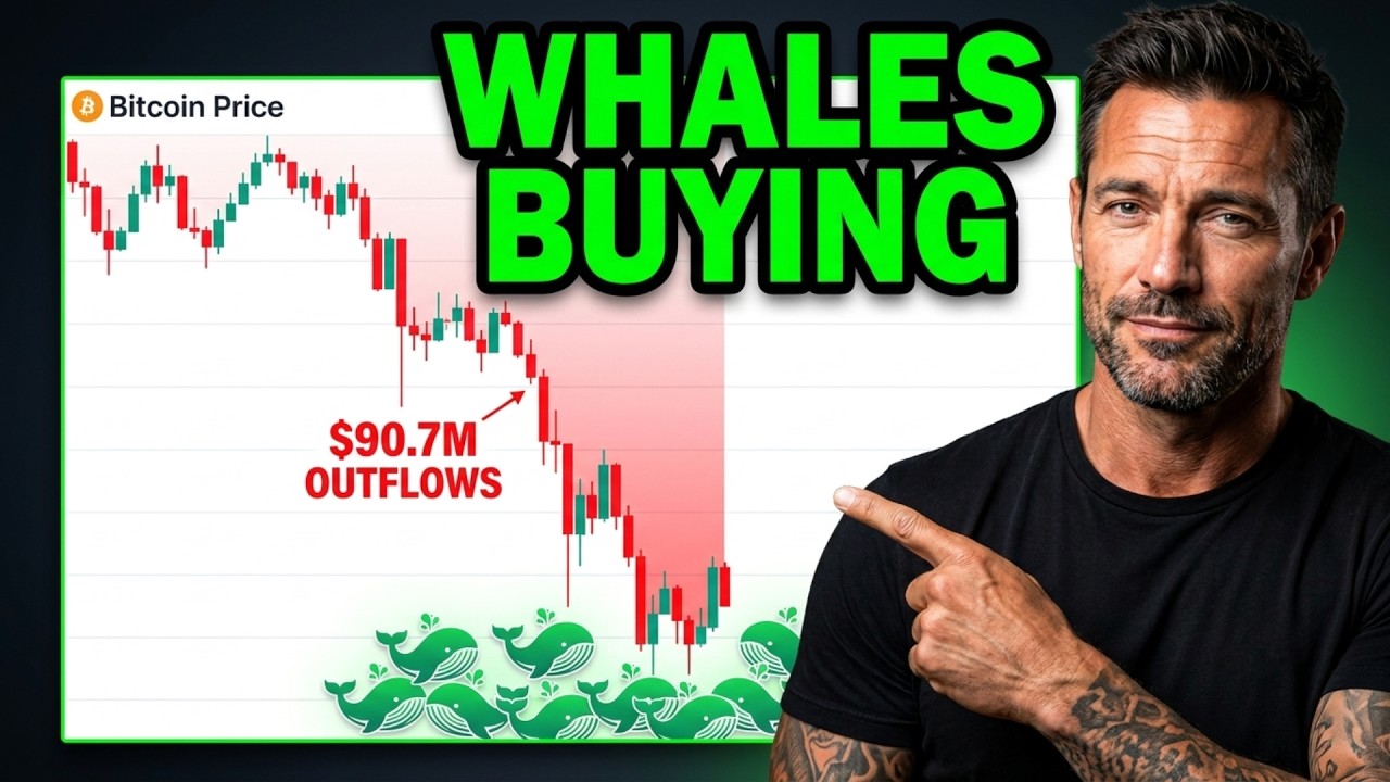 $90M Bleeding From Bitcoin ETFs While Whales Quietly Load Up &mdash; I've Seen This Before