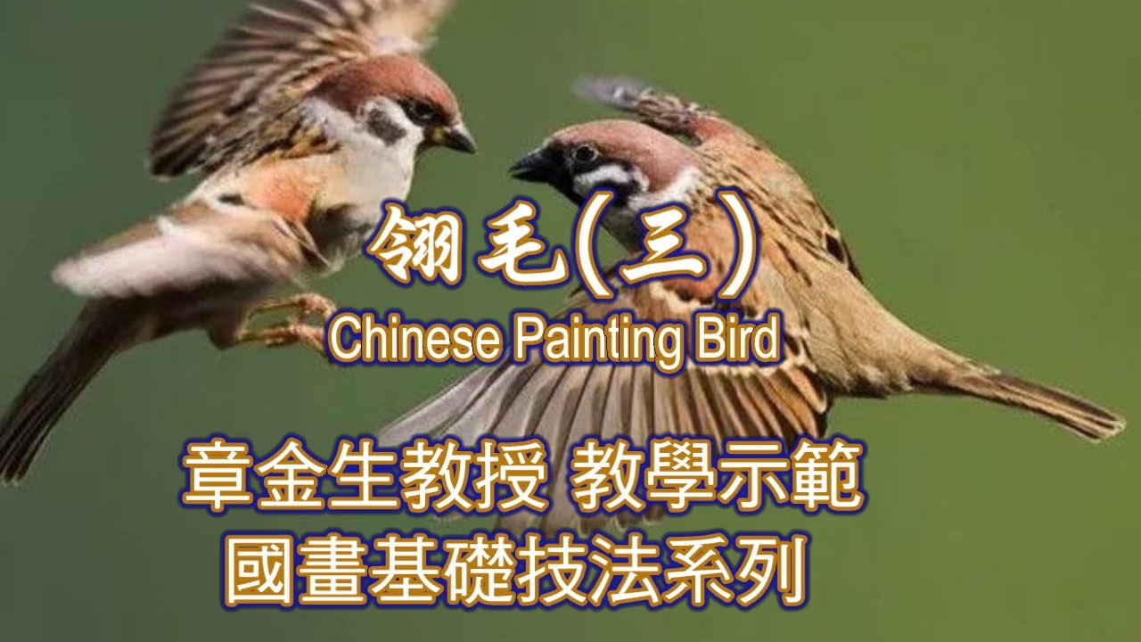 章金生教授 國畫教學示範: 翎毛(三) 雙清圖: 麻雀嬉戲梅竹間; 不同姿態的麻雀配景梅花與竹子.  Chinese Traditional Painting : Bird Painting