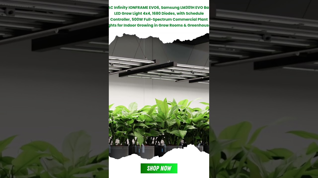 AC Infinity IONFRAME EVO6, Samsung LM301H EVO Bar LED Grow Light 4x4, 1680 Diodes #ACINFINITY #evo6
