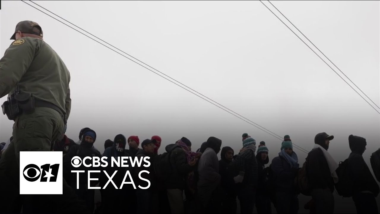 What do Trump's immigration-related executive orders do?
