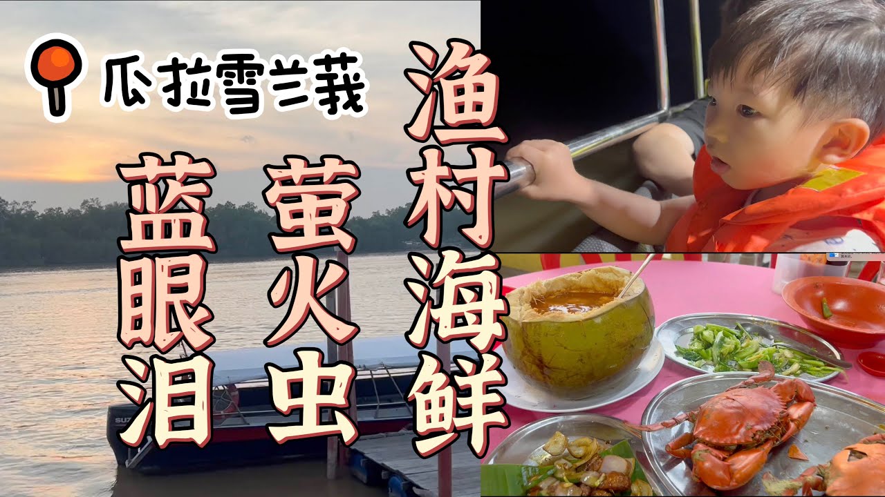 🇲🇾瓜拉雪兰莪渔村吃海鲜，螃蟹又大又肥，椰子东炎海鲜汤，晚上全家出海看蓝眼泪和萤火虫，连三岁孩子都直呼“太美啦”｜马来西亚亲子游｜Kuala Selangor 2023