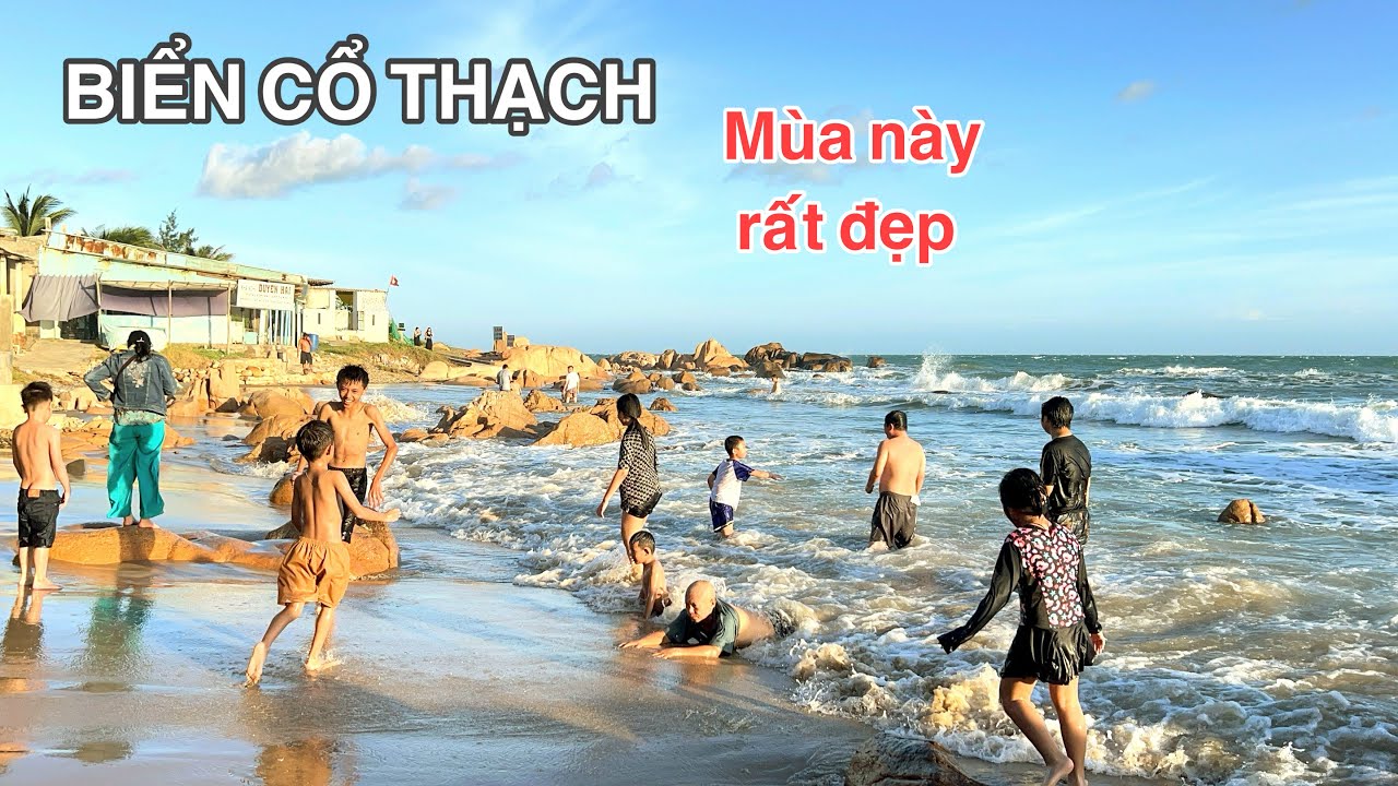 Bãi Biển Hứa Hẹn Thu Hút Đông Du Khách Kéo Đến Khám Phá Trải Nghiệm Săn Rêu