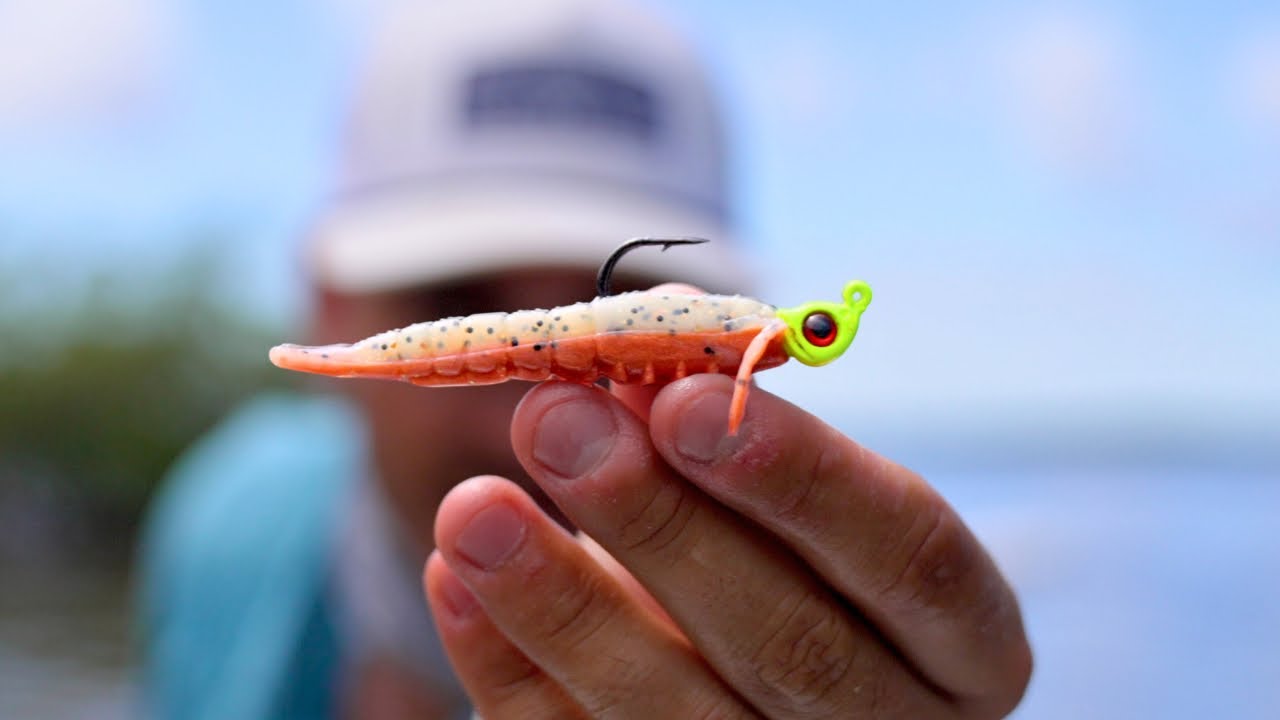 Using the Best Saltwater Lure for BIG Fish (Gulp Shrimp)