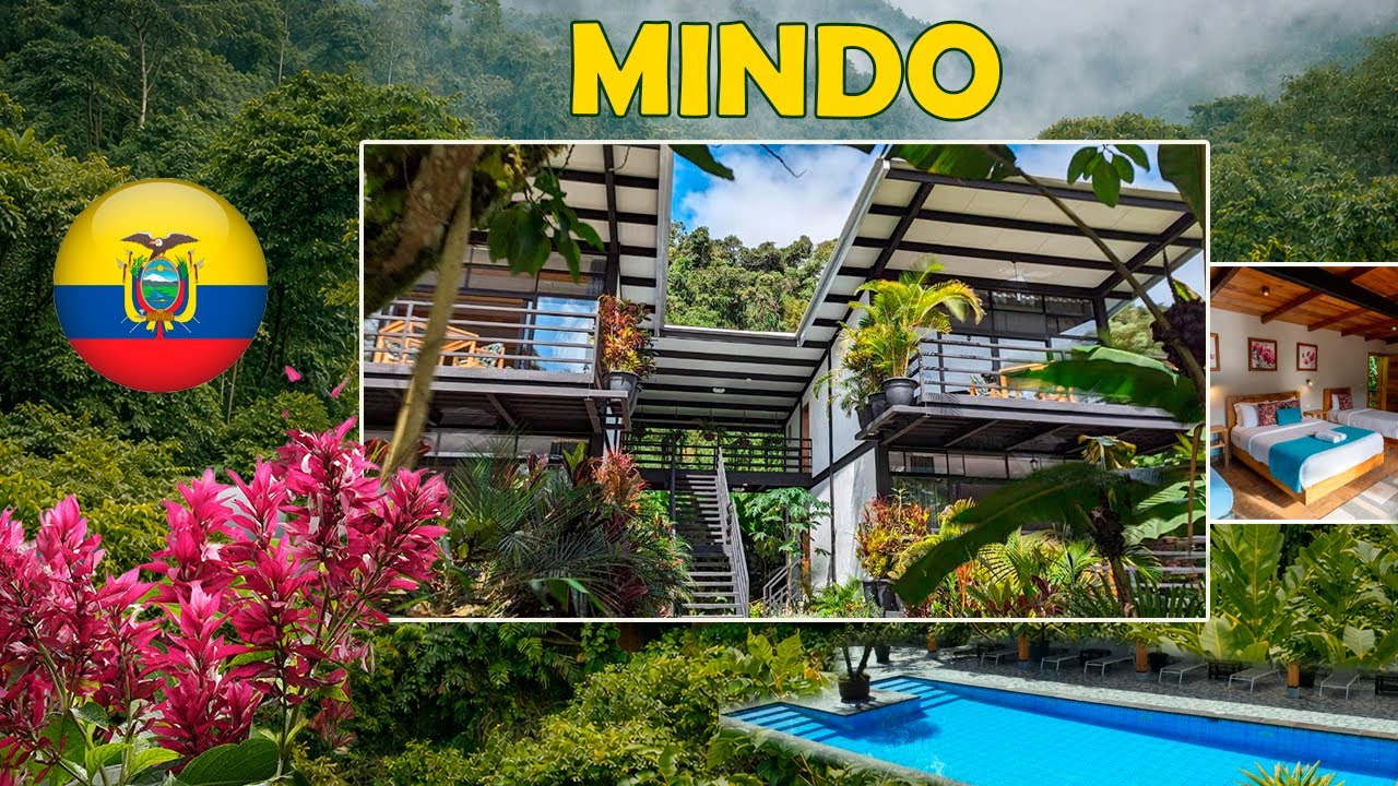 Este lodge en medio del bosque parece irreal 🌿✨ | Las Terrazas de Dana