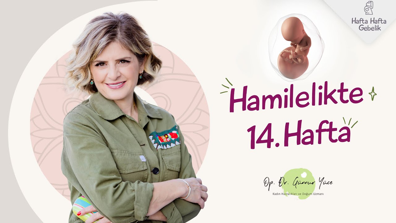 Gebelikte 14. Hafta | Op. Dr. G&uuml;nnur Y&uuml;ce | Hafta Hafta Gebelik