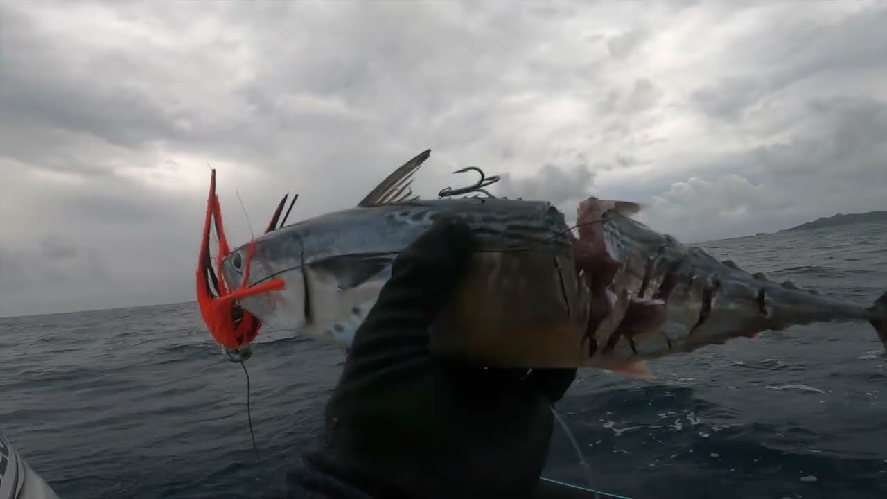 Pêche à la traine en Martinique - Une journée normale ...