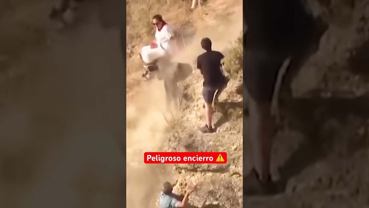 Vaca se sale del recorrido en el encierro del Pil&oacute;n de Falces #Navarra #Shorts