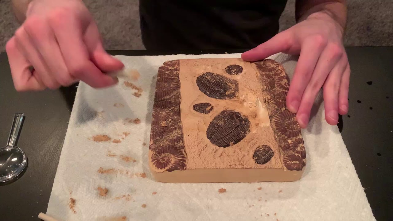 National Geographic Mega Fossil Dig Kit: PART 1