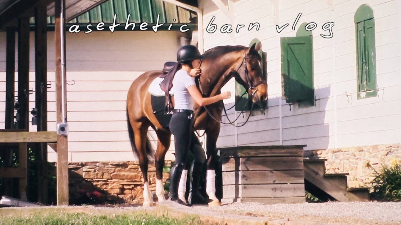 aesthetic barn vlog with nick!