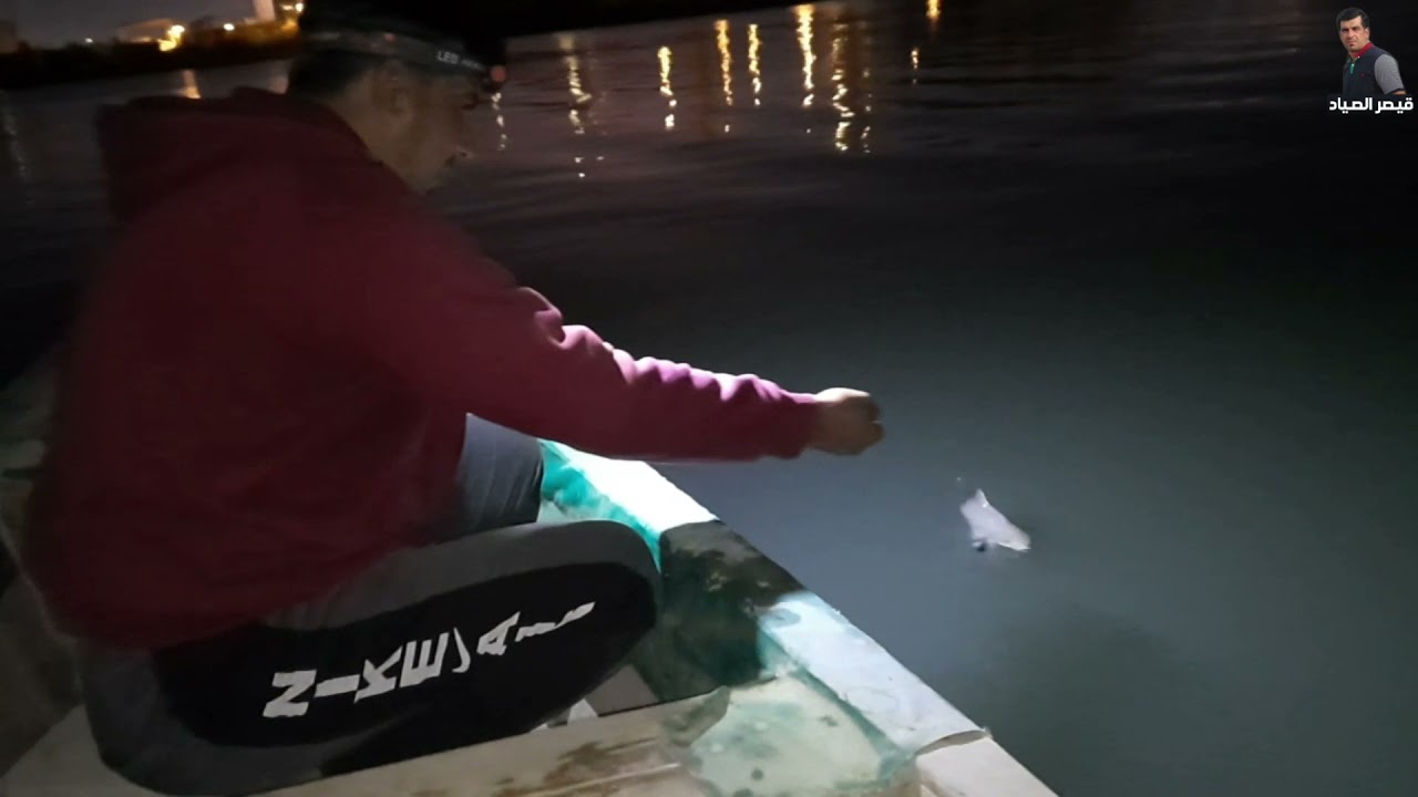 شاهد صيد السمتي ليلا#قيصر_الصياد
