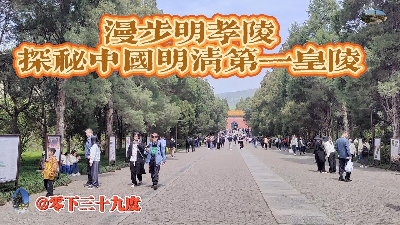 漫步明孝陵 探秘中国明清第一皇陵（2026年1月26日 ）朱元璋和皇后马氏墓，大金门，升仙桥，天人合一。妞妞旅行。@零下三十九度。#明孝陵，#朱元璋，The Ming Tomb Scenic Area