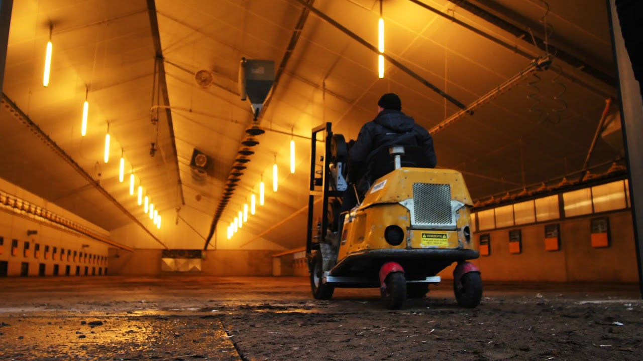 Van Tilburg Stallenreiniging - project Ulicoten