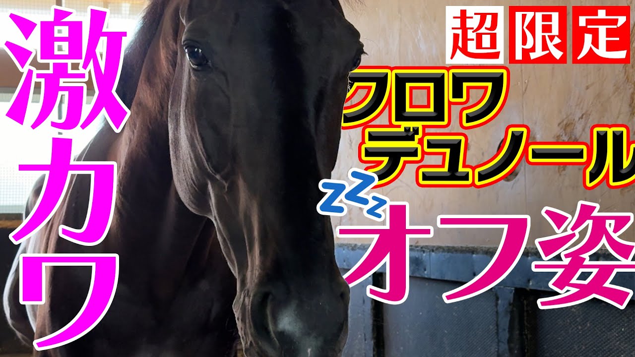 【配信限定】馬房に潜入…ダービー馬クロワデュノールの素顔を見に行こう！｜ウイニングTube