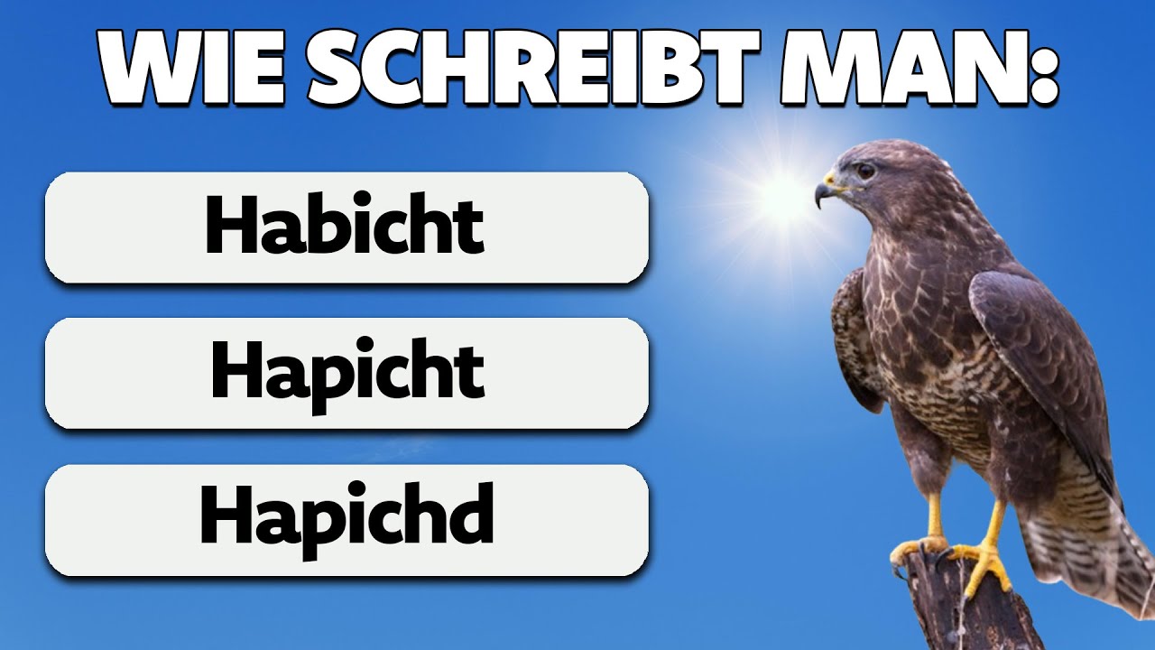 Wie gut ist deine Rechtschreibung? 🤔 | 60 Fragen