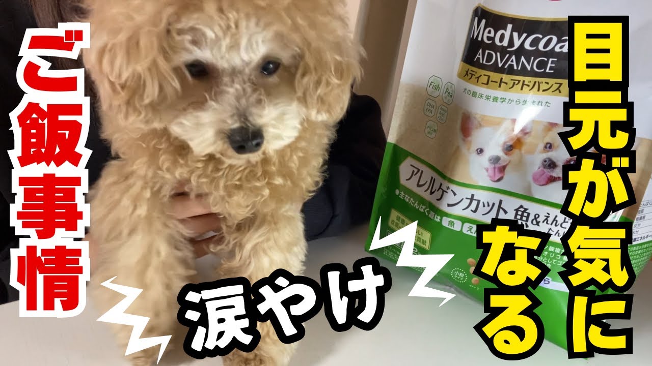 涙やけ対策