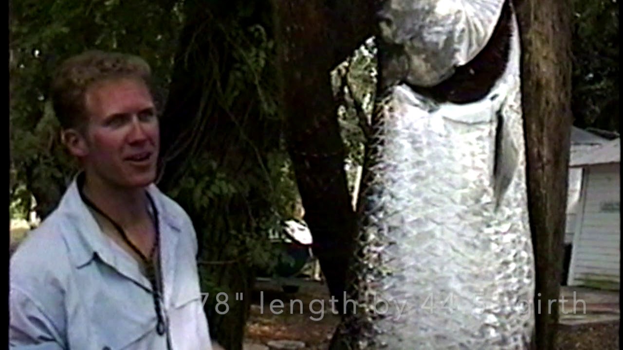 Tarpon Fly Fishing I.G.F.A. World Record (2001) Largest - New, Unseen Video!