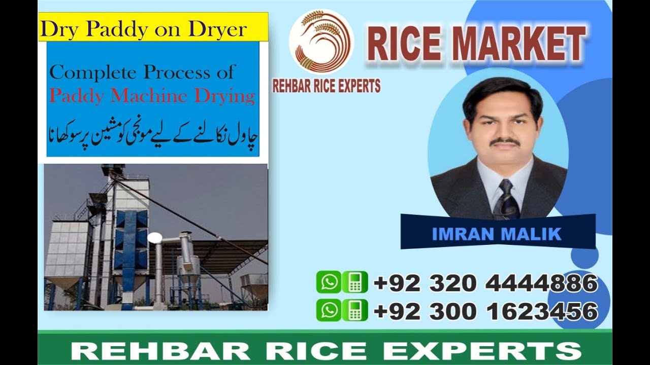 Machine Paddy Dryer || Machine Paddy Drying Process || Dry Paddy on Machine Dryer || Paddy Drying