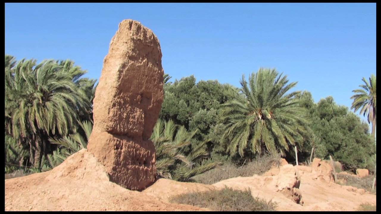 Oasis de Tighmert