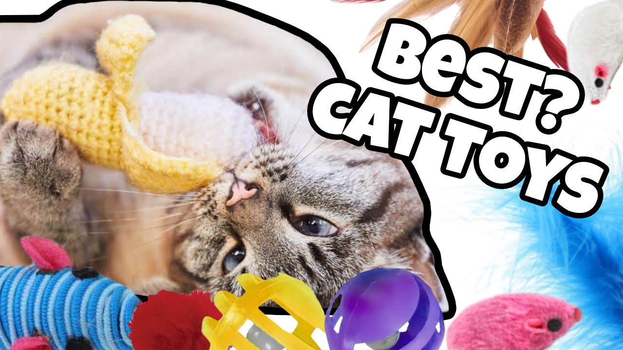 Top 10 Cat Toys 
