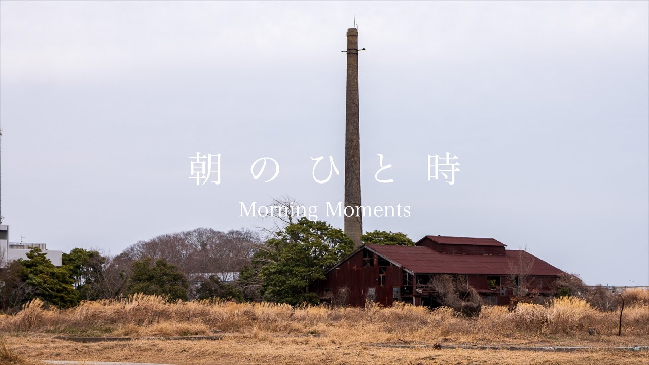 【少しずつ消えていく朝のひととき】A Morning That Slowly Fades