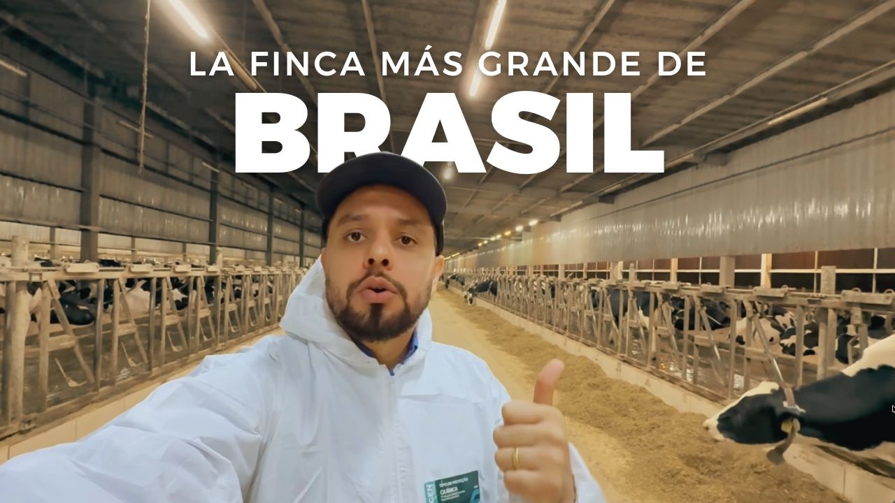 QUE GENERAN MILLONES Y ENERGÍA ELÉCTRICA AL MISMO TIEMPO