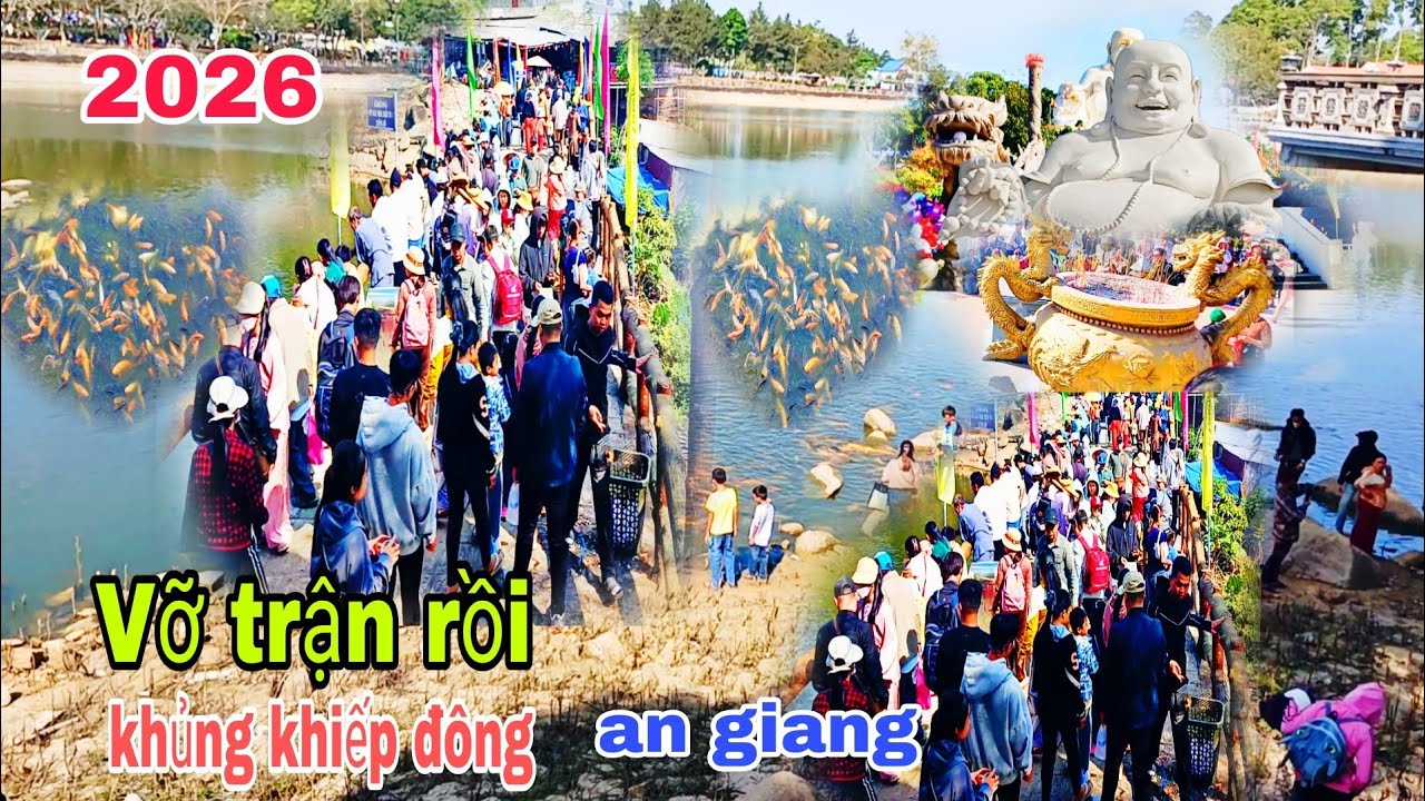 Vỡ trận rồi 