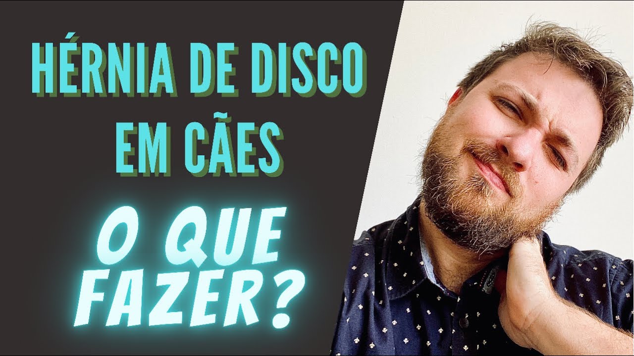 Hérnia de disco em cães - o que fazer?
