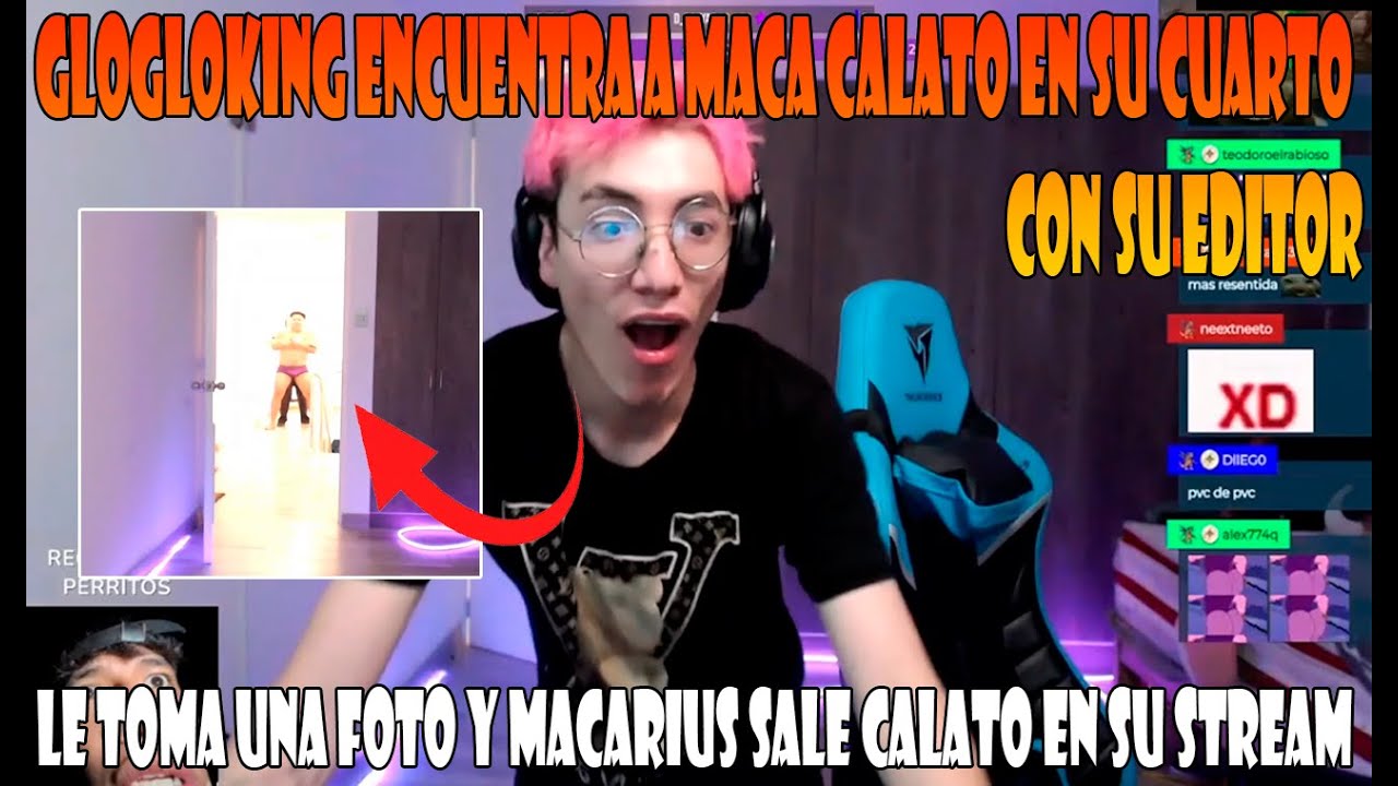 GLOGLOKING ENCUENTRA A MACA CALATO CONVERSANDO CON SU EDITOR // GLOGLO LE TOMA UNA FOTO