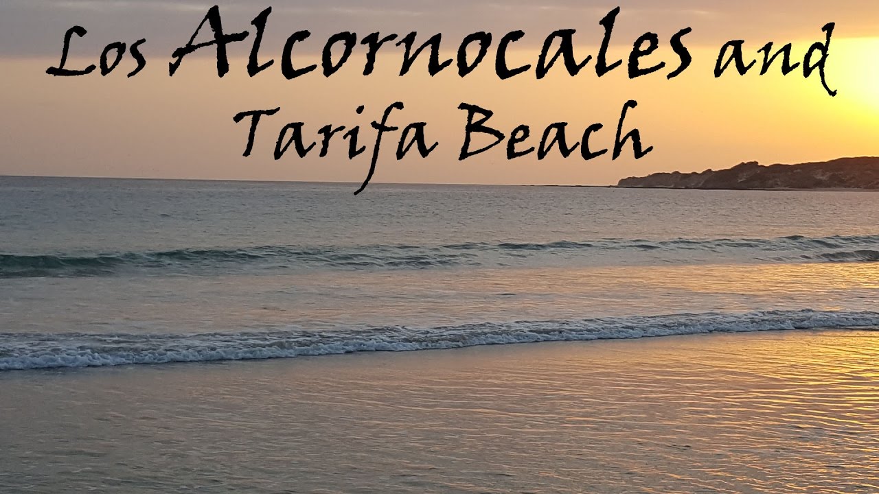 Los Alcornocales and Tarifa Beach//Алькорнокалес и пляж в Тарифе//Spain, Andalucia//Испания,