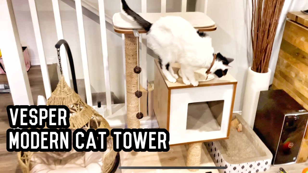 Best Cat Tower? Vesper Combines Luxury & Style【Review40】