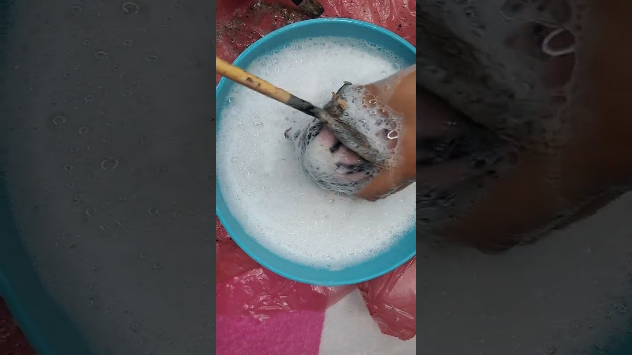 Asmr de limpieza de mini peluche ❤️🥰 