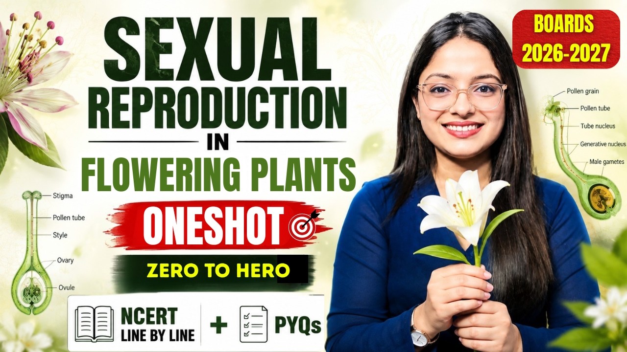 Sexual Reproduction in Flowering Plants Class 12 Biology Chapter 1 | Board Exam 2027| NCERT + PYQs