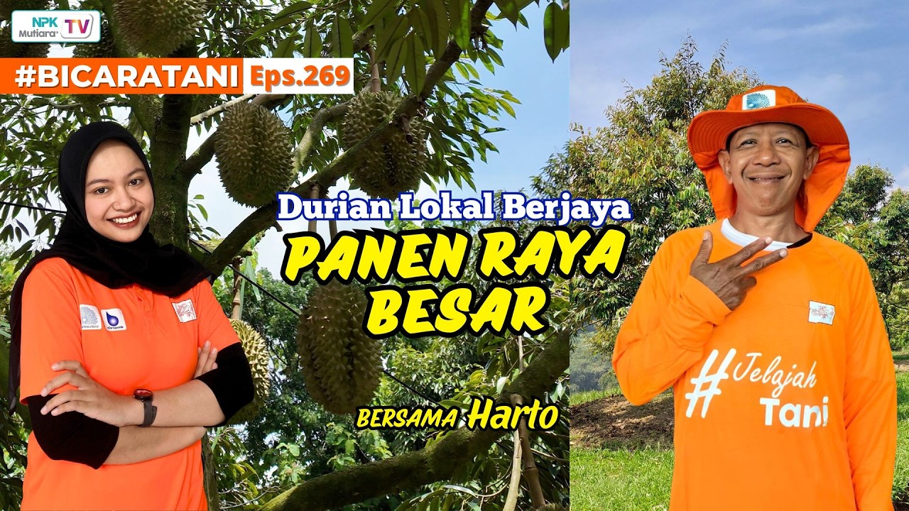 🔴LIVE: Durian Lokal Lampung Berjaya!! Harga Bersaing, Rasa Manis Legit Bikin Nagih | BicaraTani #269