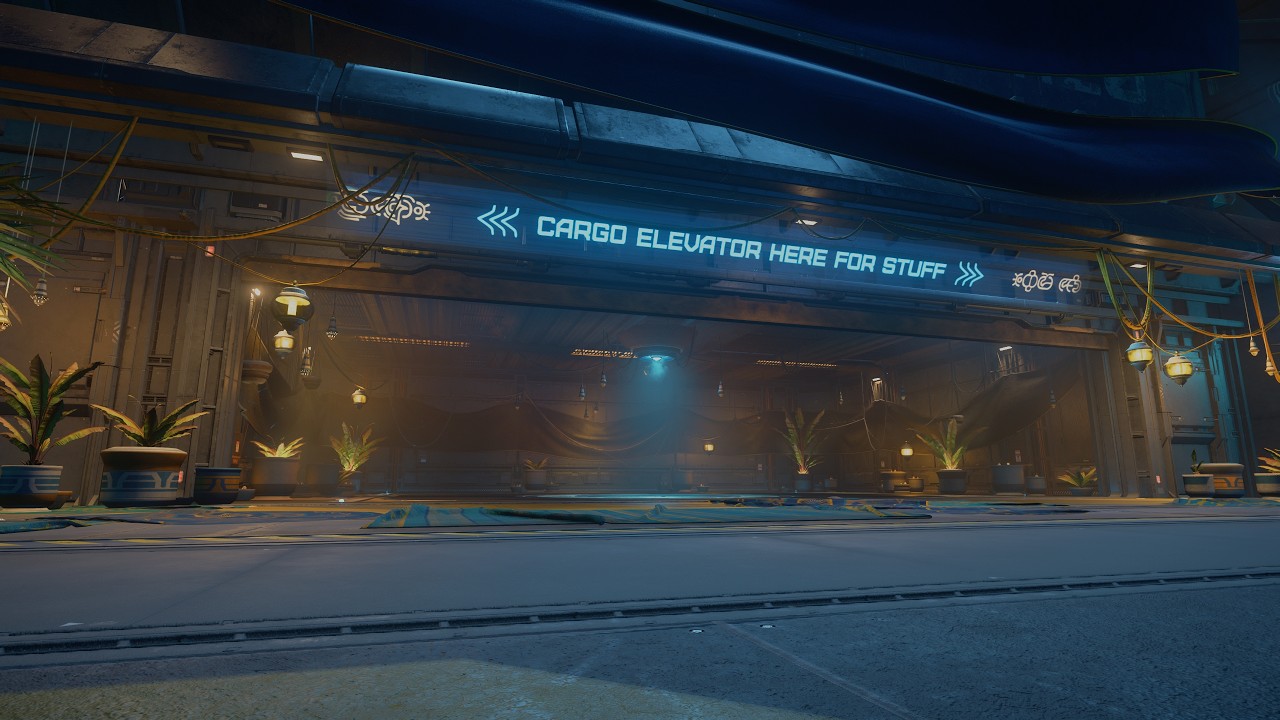 Star Citizen Freight Elevator Fix 4.8.1