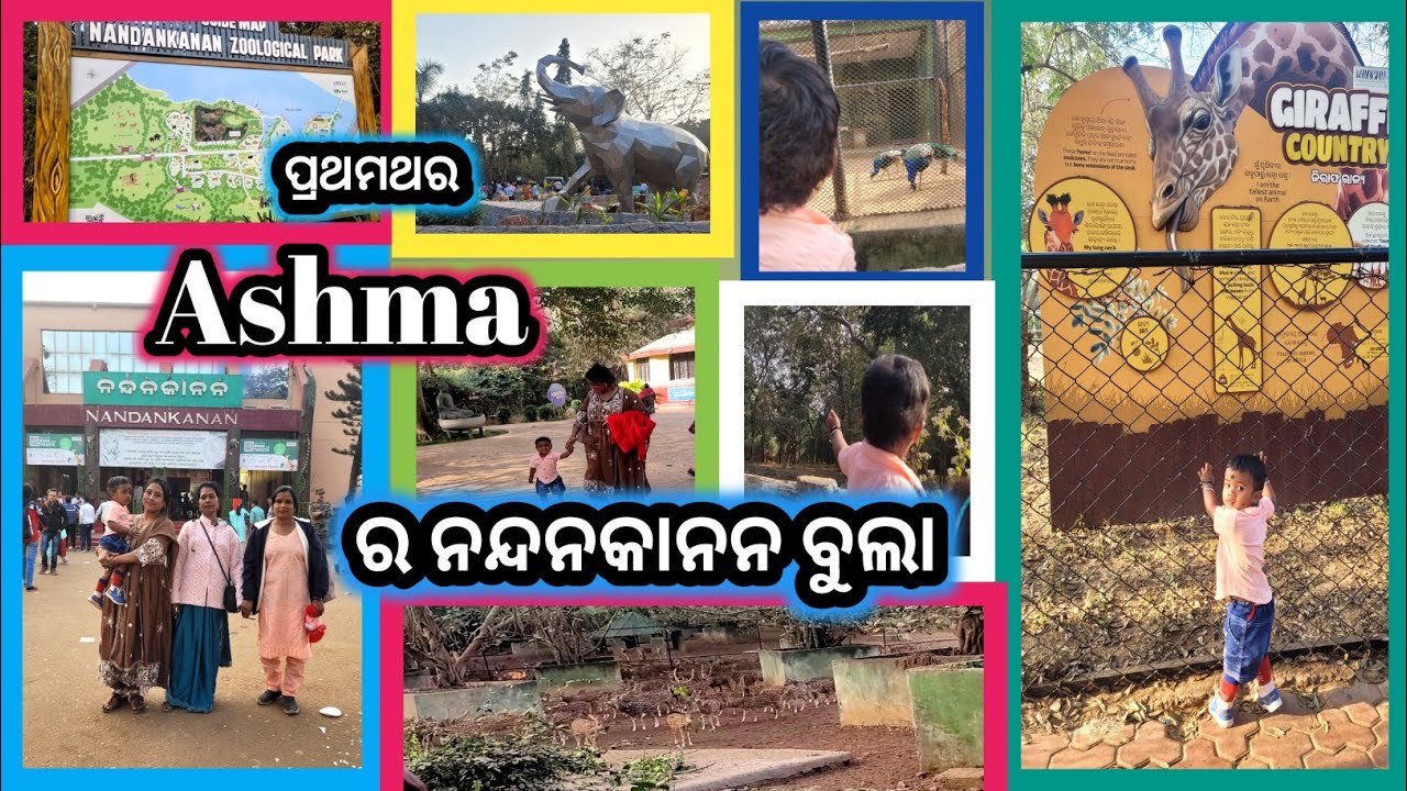 ପ୍ରଥମଥର Ashma ର ନନ୍ଦନ କାନନ ବୁଲା #travelingvlog #nandankanantour #mastimoment #baby #mummakiashmavlog