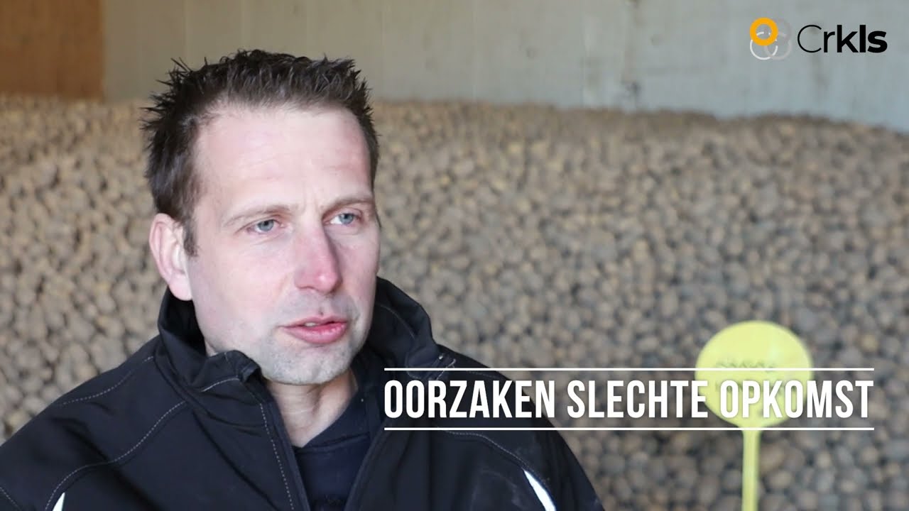 Alle schakels in de keten bepalen kwaliteit pootgoed | crkls.nl
